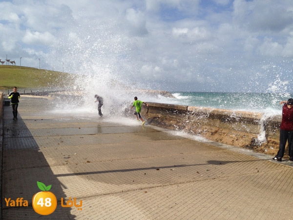 mina2yaffa327 (3).JPG